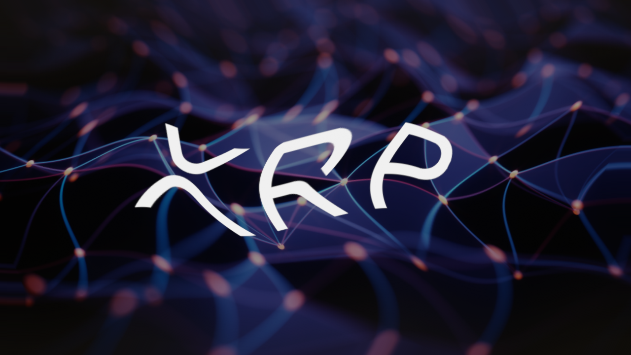 When There Is No Pebble Tossed — the Murky Origins of the XRP Protocol | by  Bryce Weiner | Medium