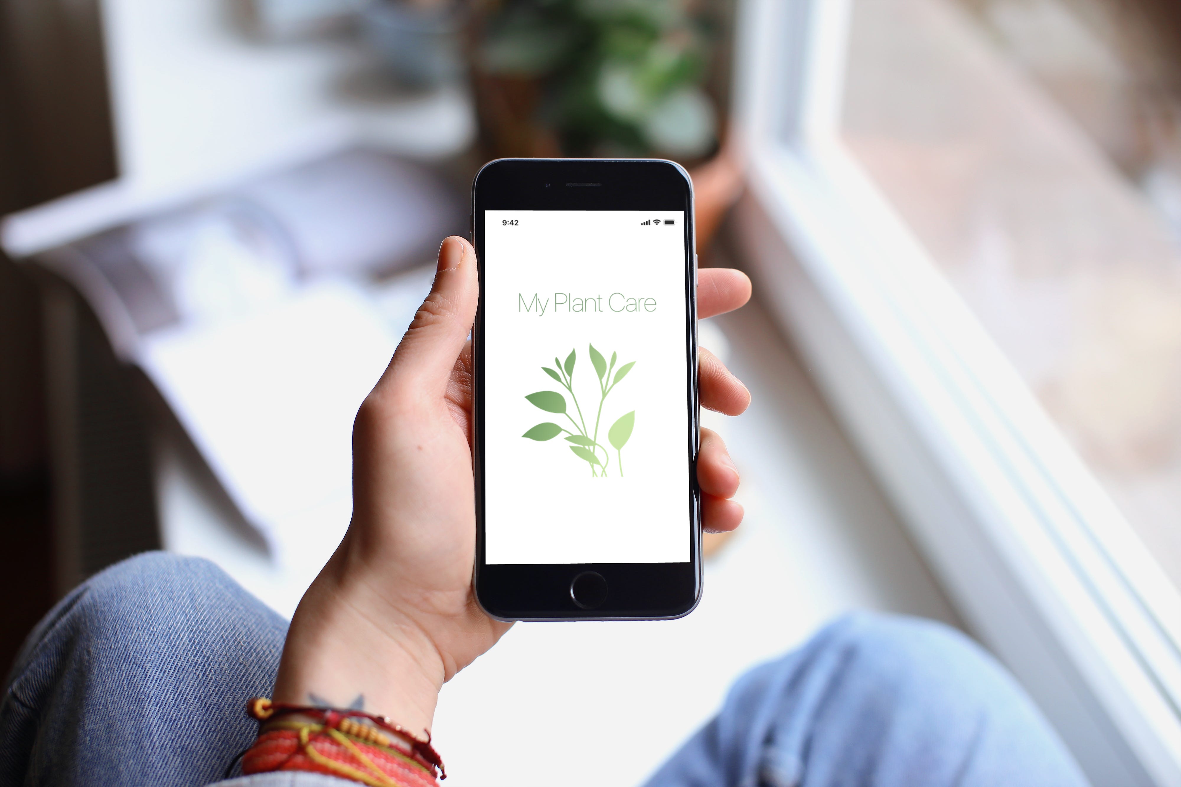 olivenbaum aussehen Großer Olivenbaum, 100-110cm – Green Me Up