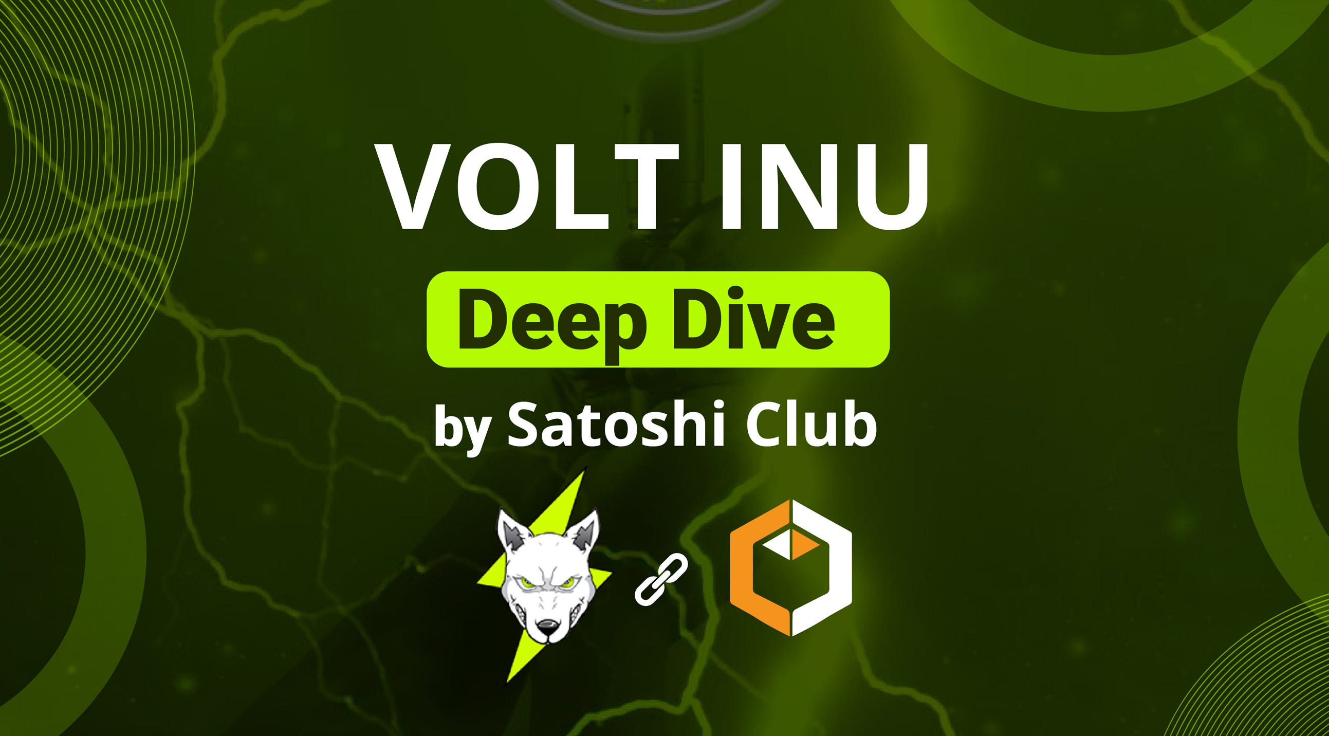Project Overview: Volt Inu. A supercharged dog-themed coin ready to… | by  Slobodzeanb | Satoshi Club | Medium