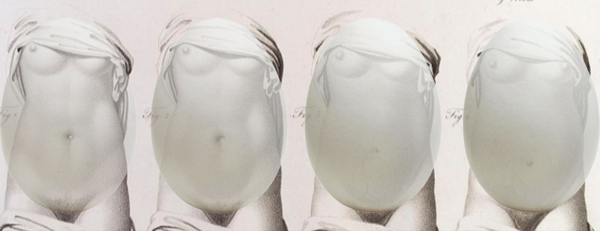 Good Eggs. At 37, I have about 25,000 eggs left… | by Elizabeth Cauvel |  PULPMAG | Medium, image size:2000x772