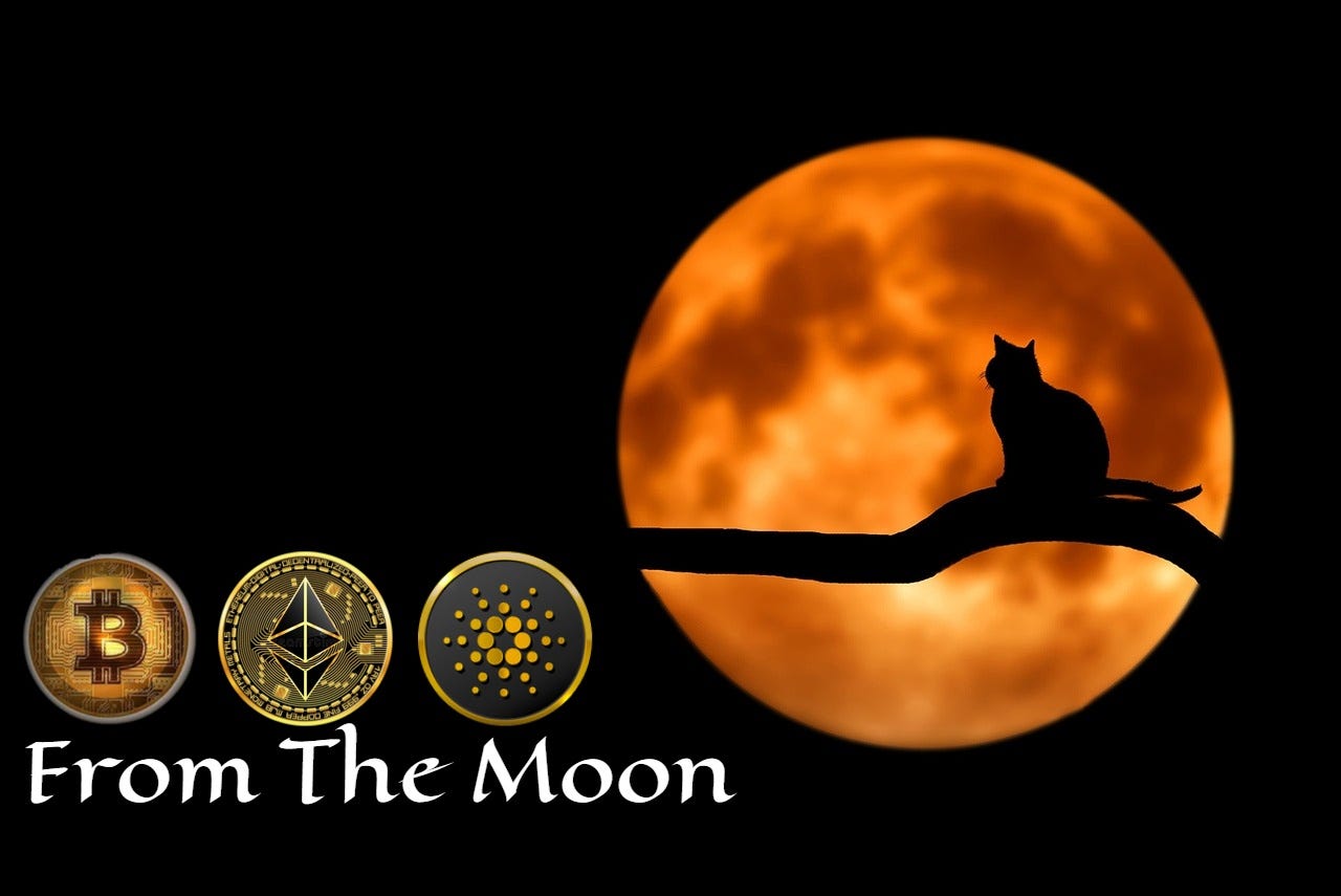 From The Moon! - How I Predicted The Top Of The 2021 Bull Run | by Pantera  | The Crypto Kiosk | Medium