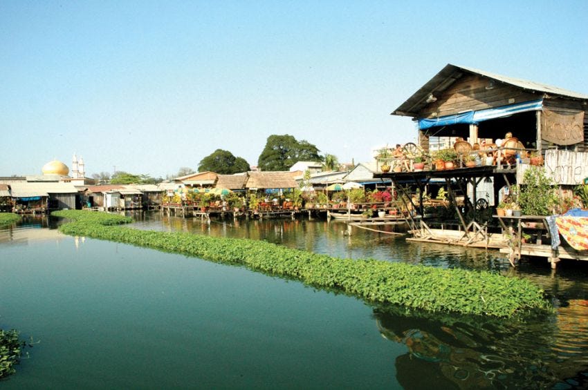 未開栓】ミャオジアム 包帯をした自画像 ブナハーブン13年