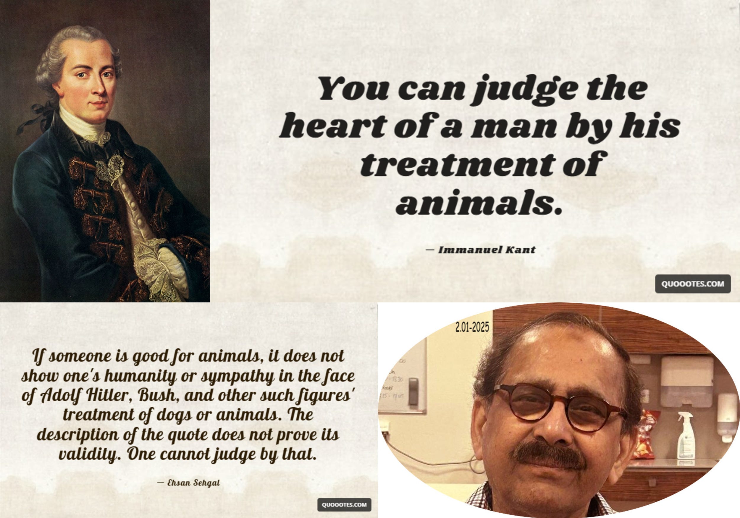 If Someone is Good for Animals, It does not Show one's Humanity or Sympathy  | by Media Channel | Medium, image size:2502x1754