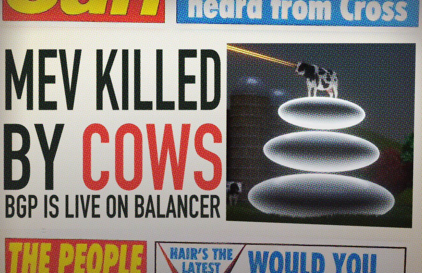 Two Protocols, One DEX: Introducing the Balancer-Cow-Protocol (BCP) | by  Fernando Martinelli | Balancer Protocol | Medium