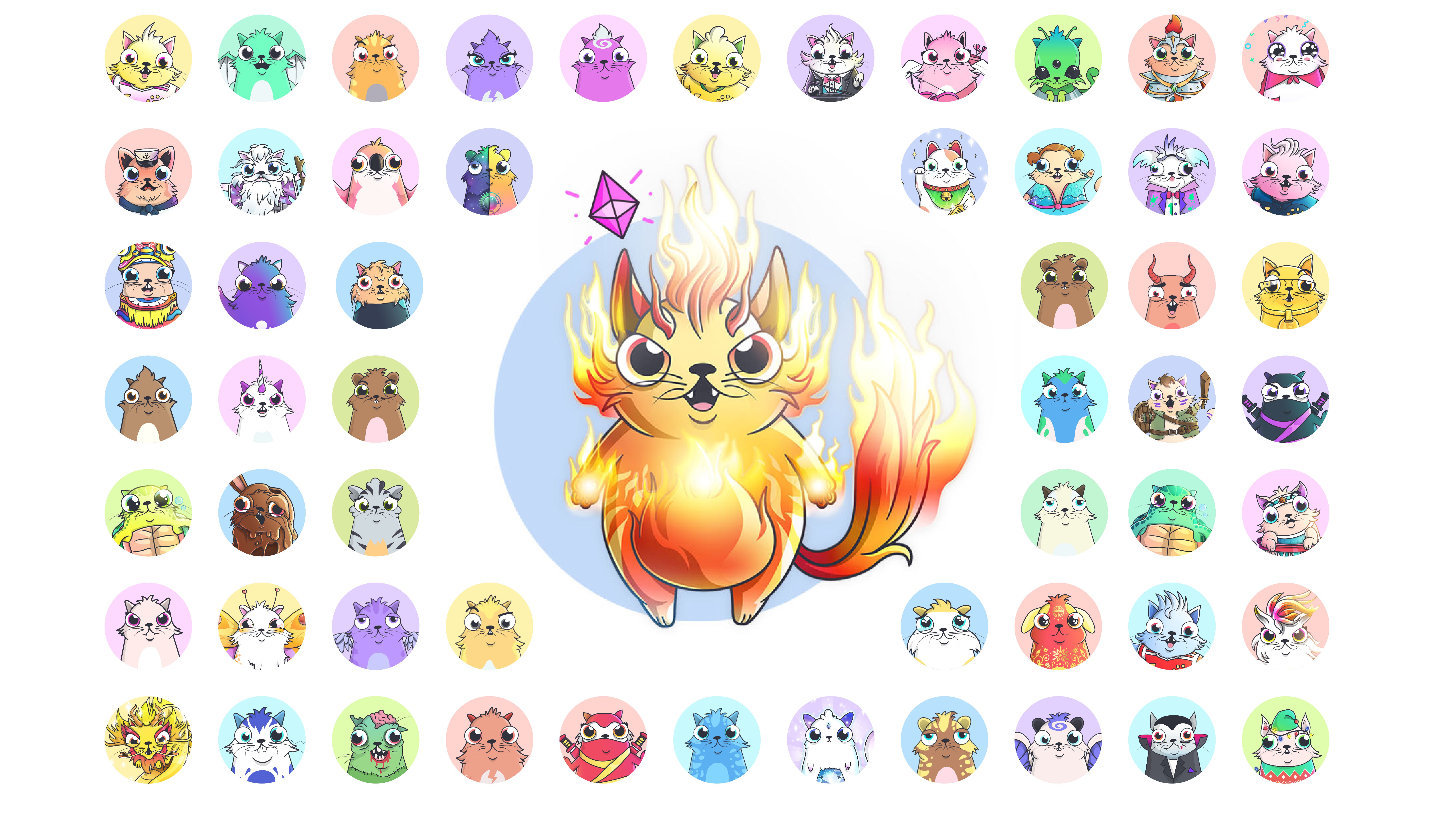 Herding one-million cats. The state of CryptoKitties and where… | by  CryptoKitties | CryptoKitties | Medium