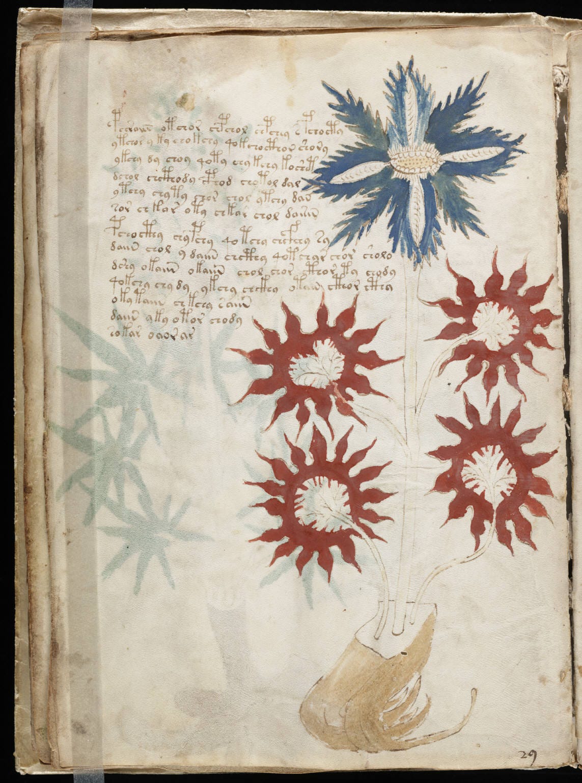 The Voynich Manuscript: One Of The World's Most Mysterious Book