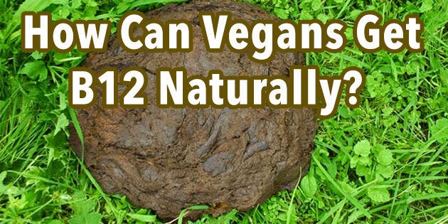 The Stain on the Vegan Diet  B12 deficiency. The Solution may Surprise  you. | by Paul Rodney Turner | Medium
