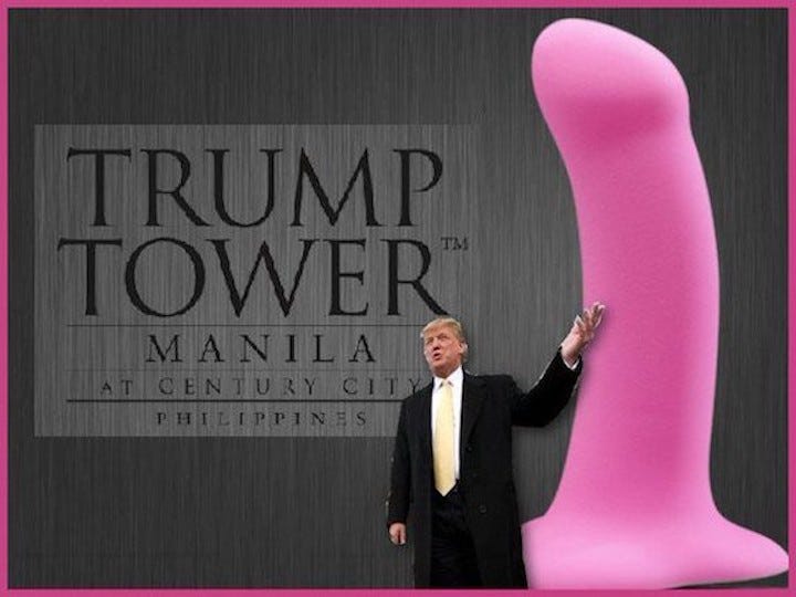 trump sex toy The 10 Hottest Sex Toys and Accessories to Gift from Adam & Eve main image 0