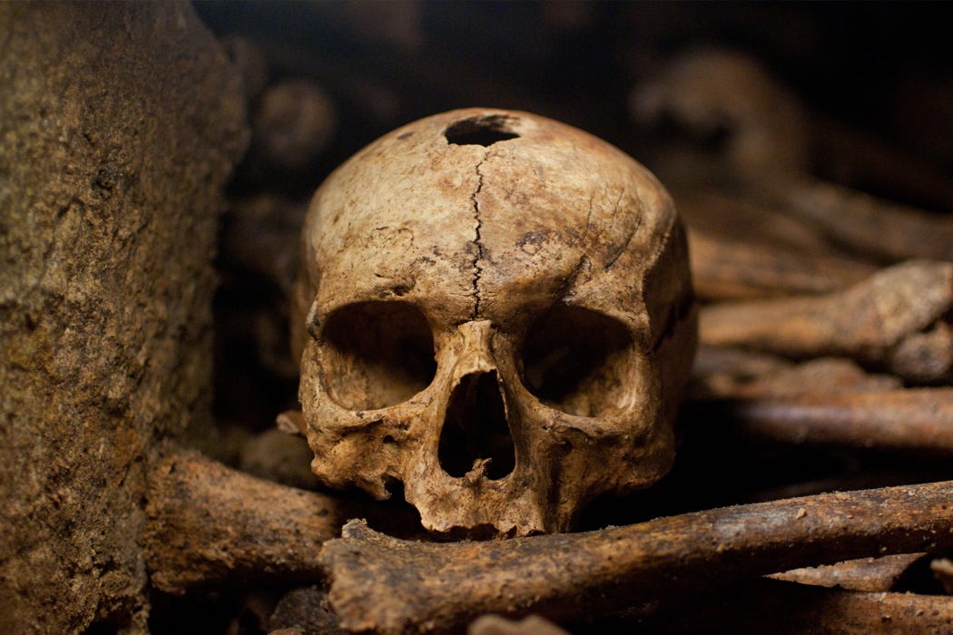 Reflecting on Life with the Dead. Reflecting on Life with the Dead