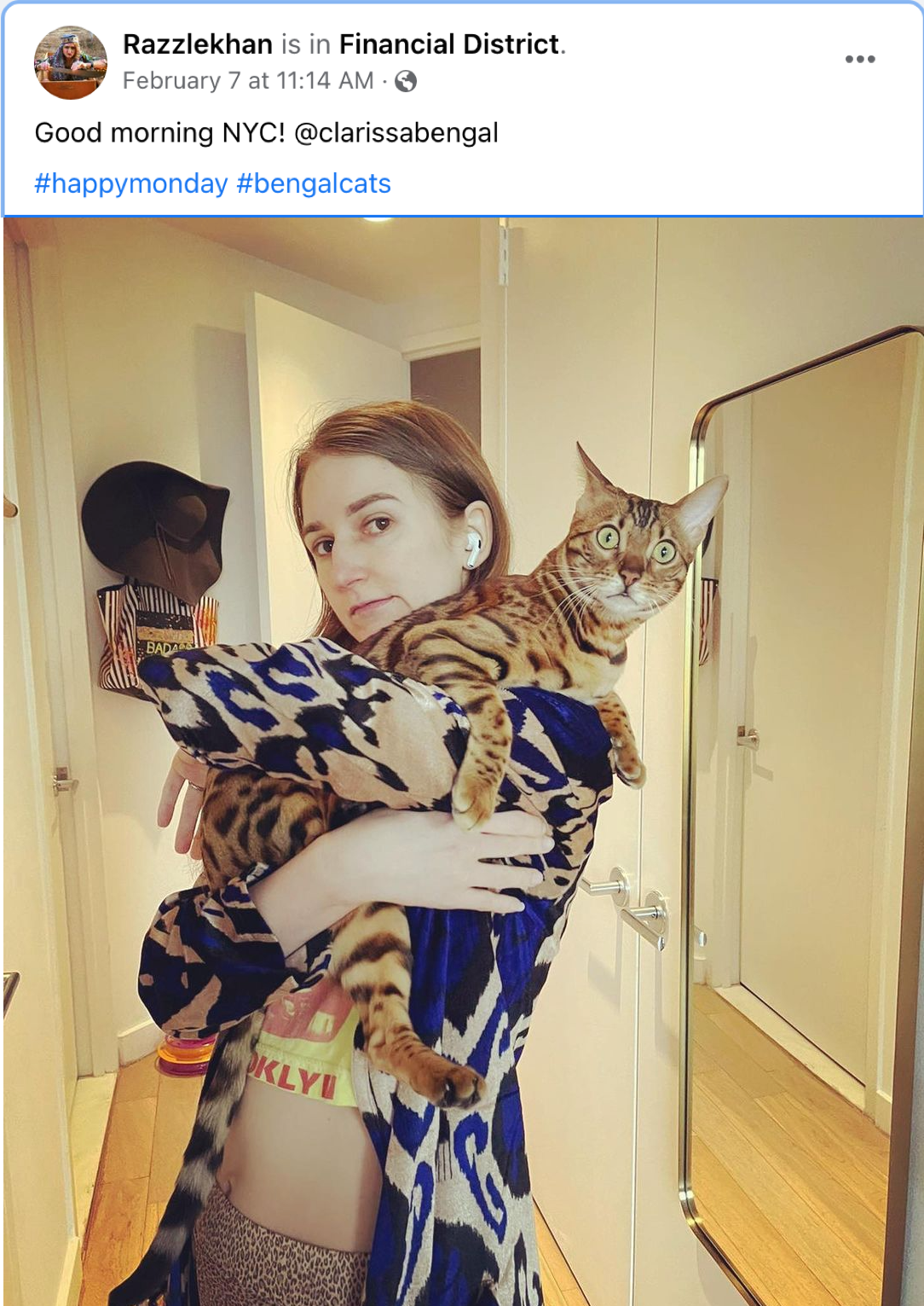 What Did the Cat Know?. A Final Photo Leaves Questions | by Joe Moody | The  Mood | Medium