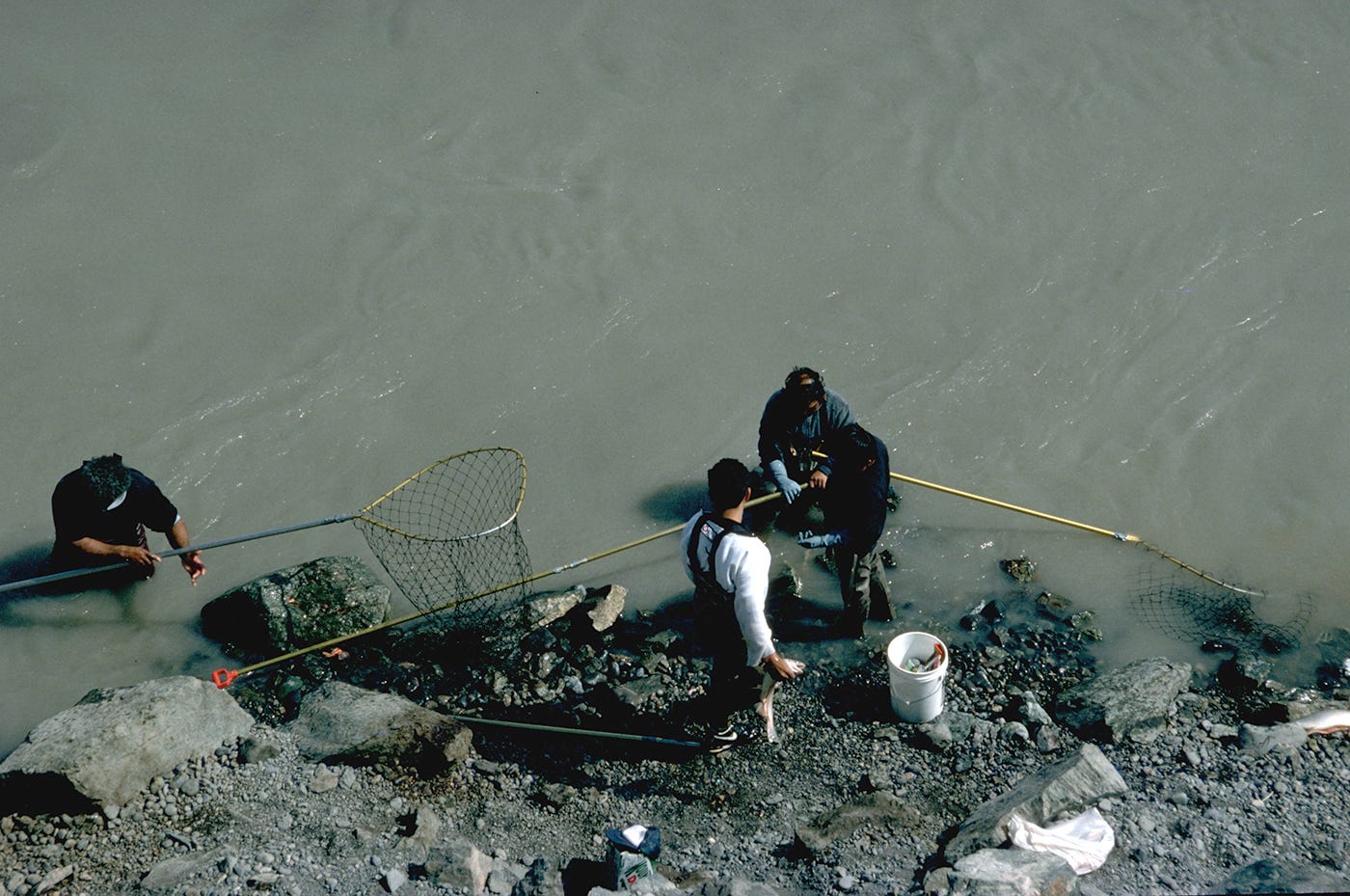 copper river dip netting fishing Copper River Dip Net. We drove to Chitna to witness Alaska… | by Evan  Swensen