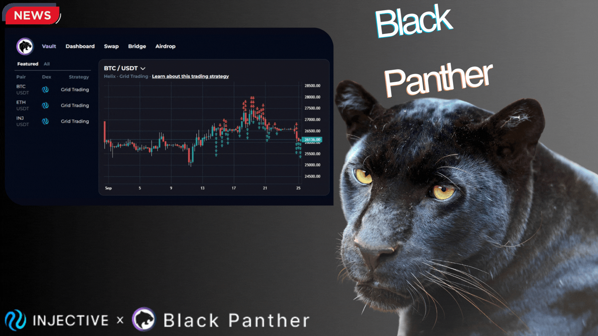 Black Panther Finance: an in-depth exploration of decentralized asset  management. | by Володимир | Medium