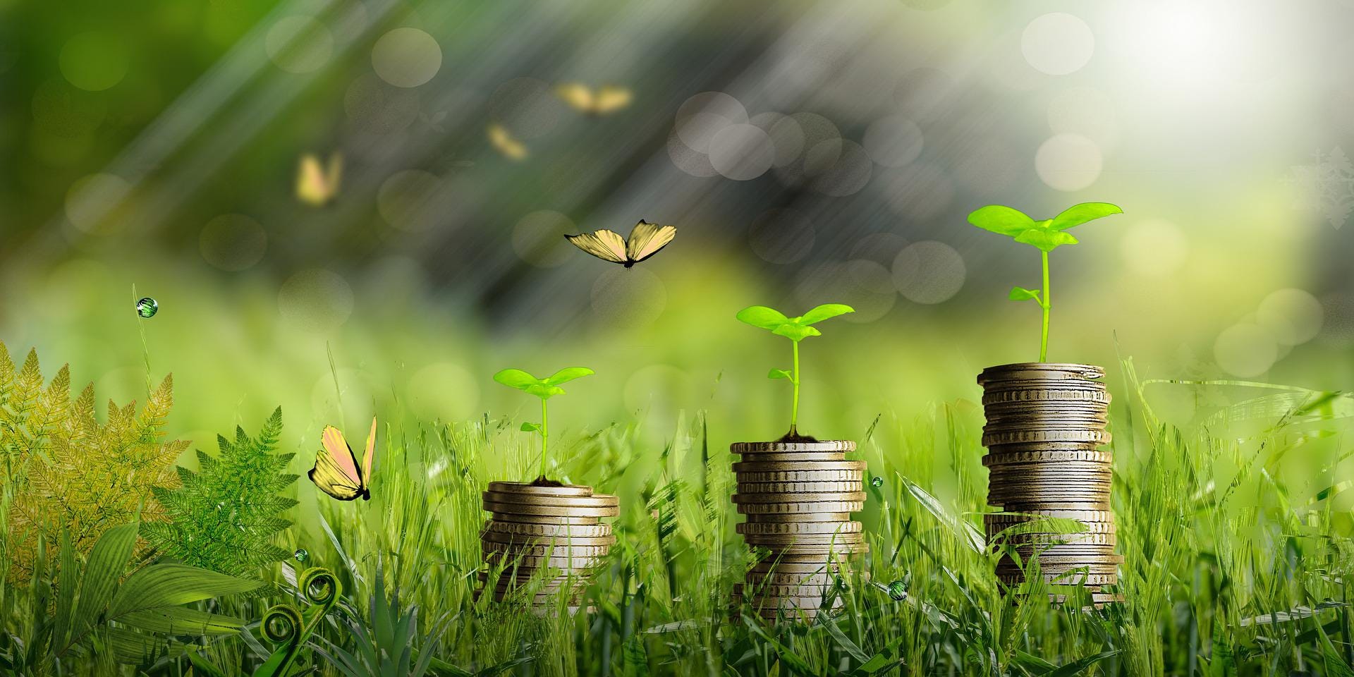 Green Economy, Green Growth. By Robert C. Brears | by Robert C. Brears |  Mark and Focus | Medium