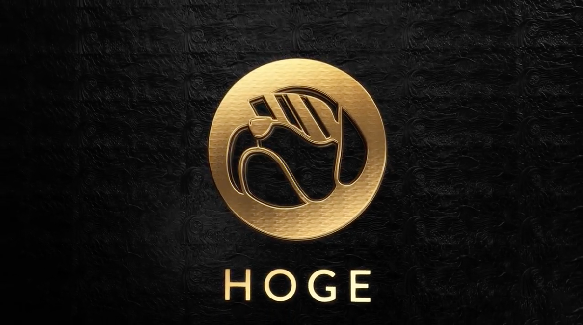 Is HOGE Coin Legit?. The good, the bad, and the ugly | by Jesse J Rogers |  Compounding Interest Podcast | Medium