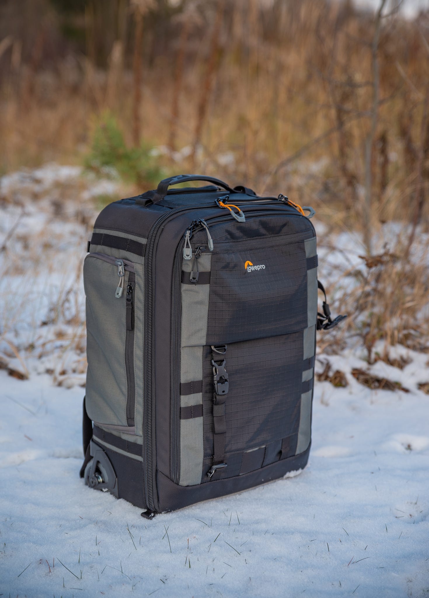 LP450　ベルツリー Amazon | LP エルピー ベル Bell Tree, 26 Bells LP450 | ベル | 楽器