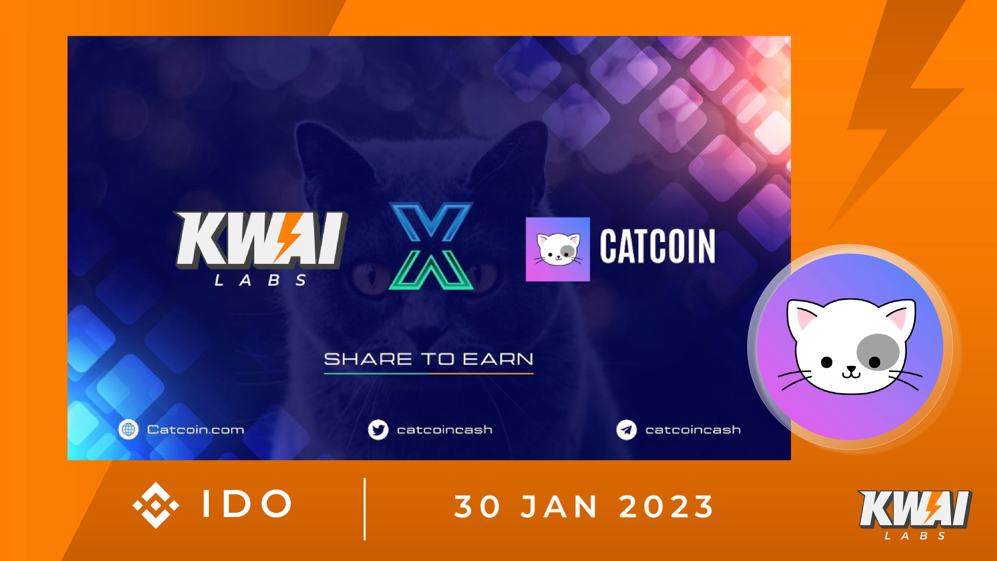 IDO: CATCOIN — 30th Janaury 2023. Catcoin is a web3-based project that is…  | by KWAI Labs | Medium