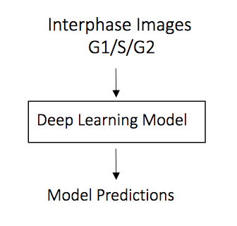 Deep Learning for Reconstructing Continuous Processes | Towards Data ...