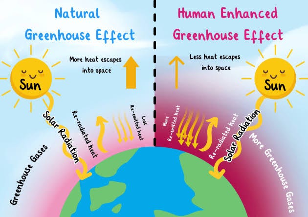 Tycoon Tash - Green House Effect GREEN HOUSE EFFECT AND IT'S