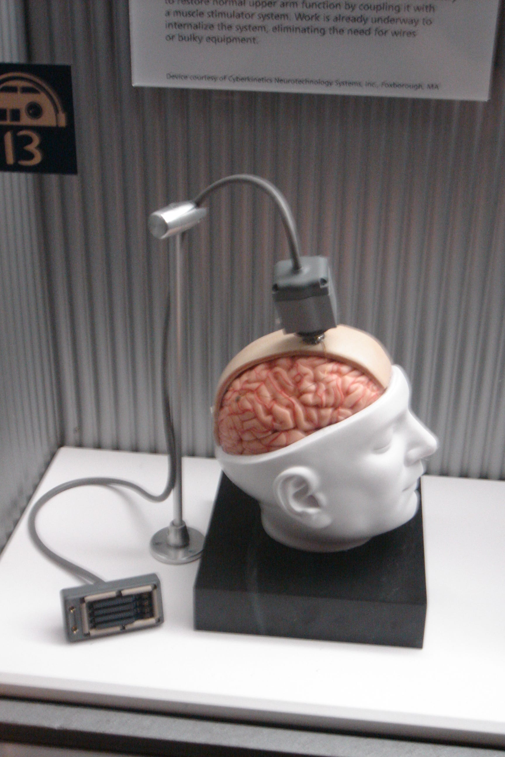 BrainGate Dummy by PaulWicks at English Wikipedia. Image Source