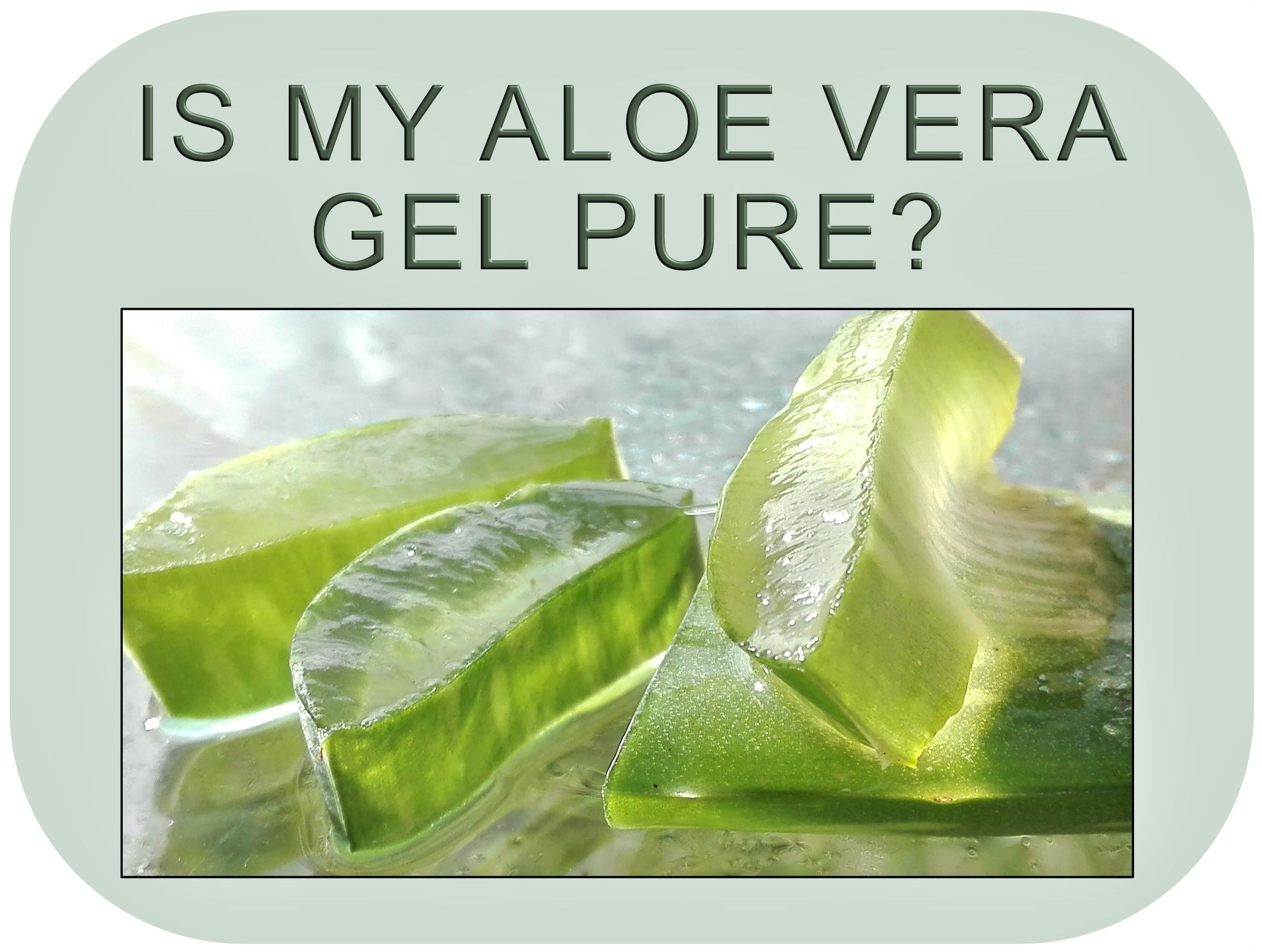 Aloe Vera Part 1: How Pure Is My Aloe Vera Gel | by Celeste Wilson | The  DIY Diaries | Medium
