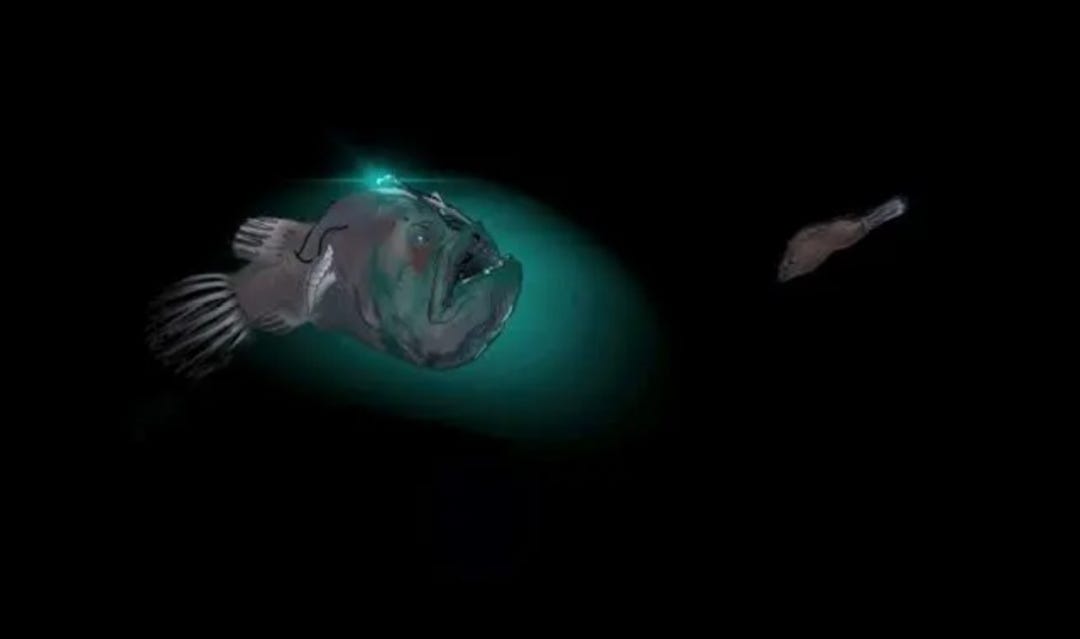 The Mystery of Deep Sea. Why deep sea hides more secrets than