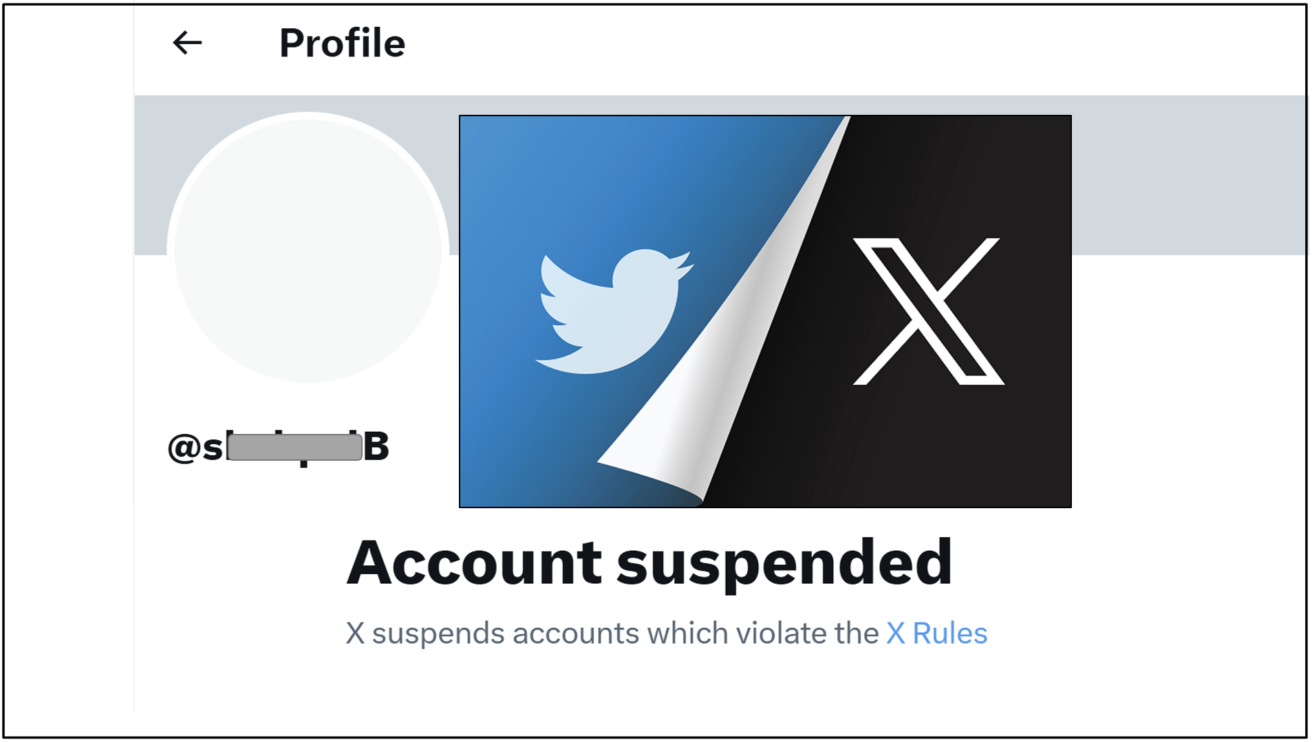 How to Investigate Suspended X(Twitter) Accounts for Hidden Insights | by  Practical OSINT | OSINT Team