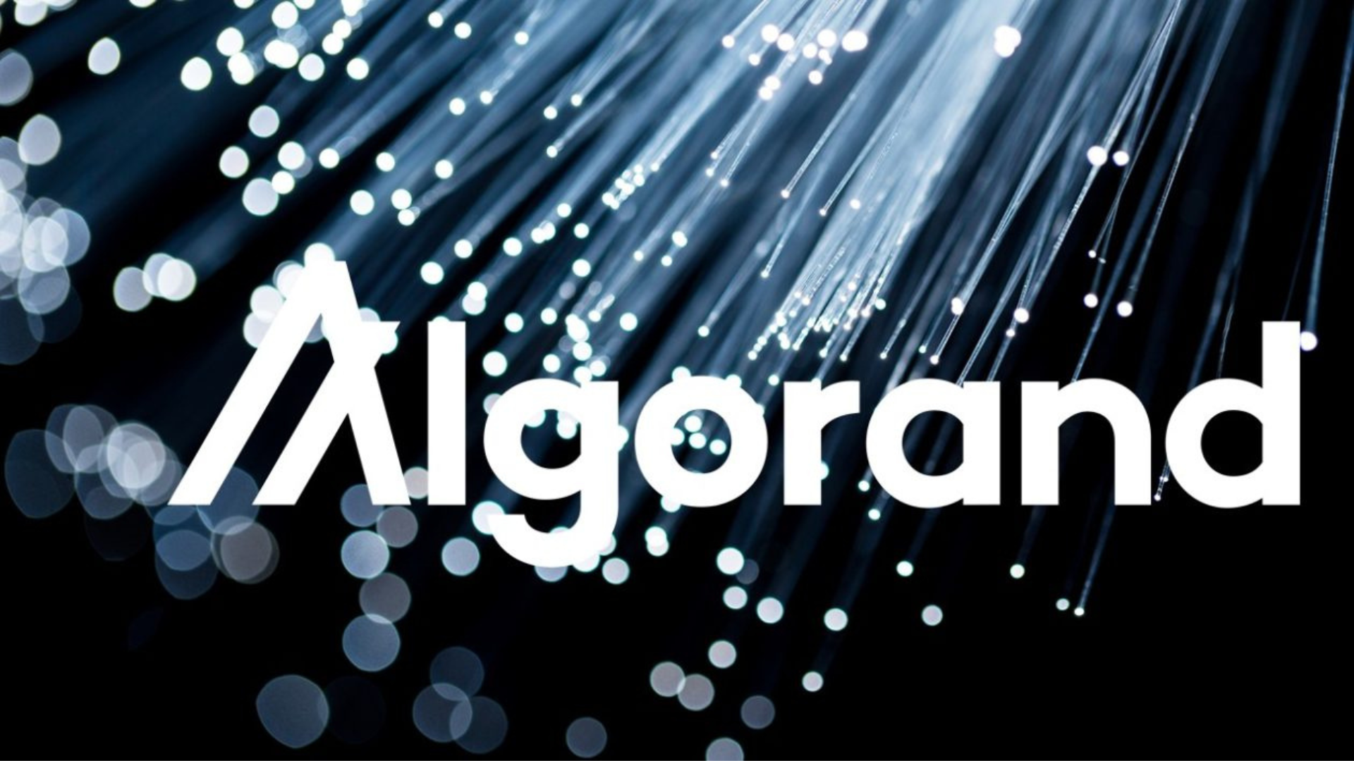While Everyone Chases Ethereum and Solana, Algorand Is Quietly Building  What Could Be the Future of Finance | by Dipanshu Chaudhry | Medium