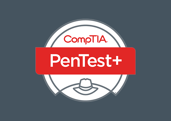 改訂CompTIA PenTest+（PT0-002）試験対策総仕上げ問題集 CompTIA PenTest+ 出題予想問題集 400問: コンプティア 認定資格