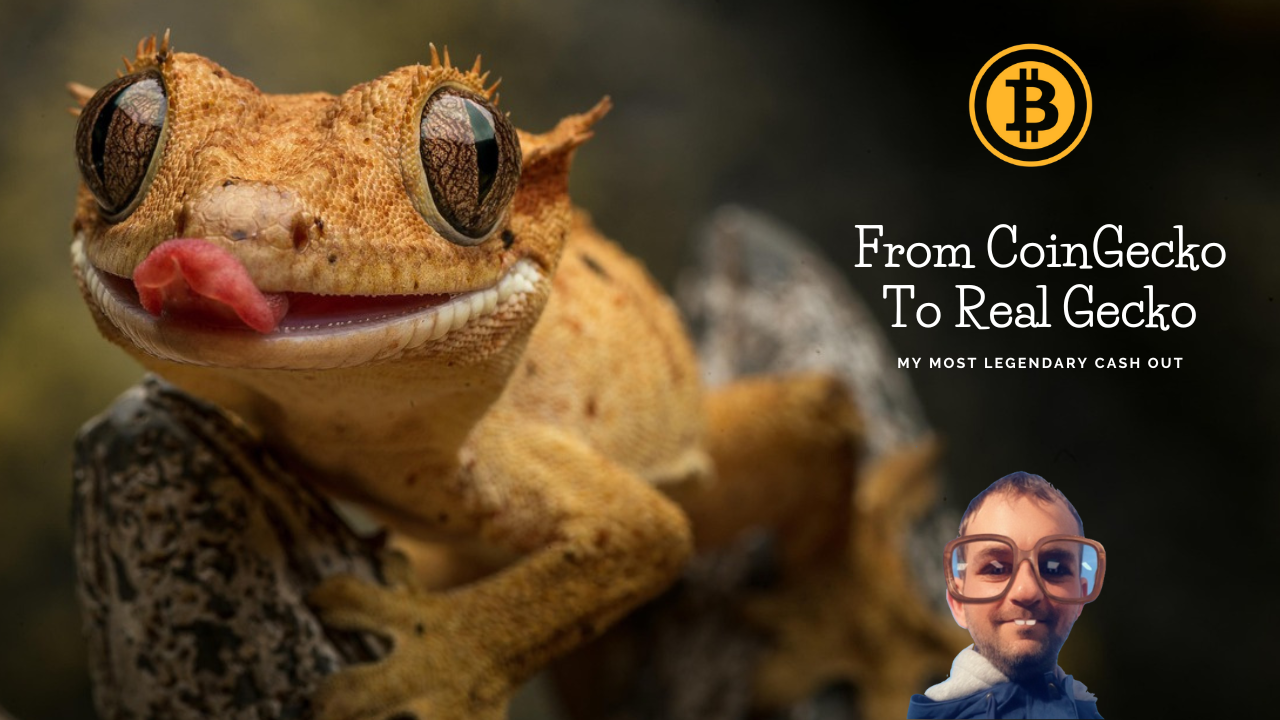 From CoinGecko to Real Gecko: My Most Legendary Crypto Cash-Out Yet | by  Cryptonator`s | Medium