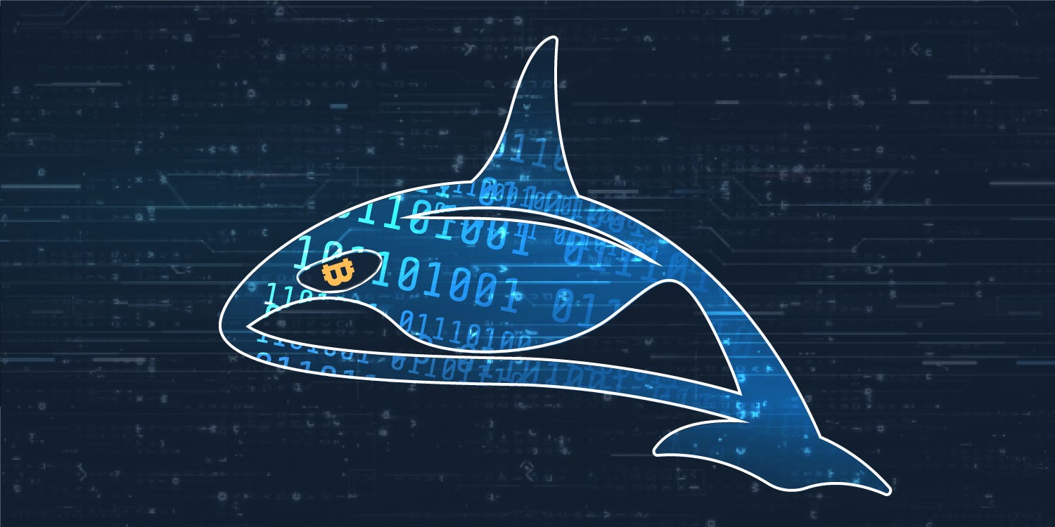 4 techniques a Whale uses to manipulate prices | by Koinfox | Medium