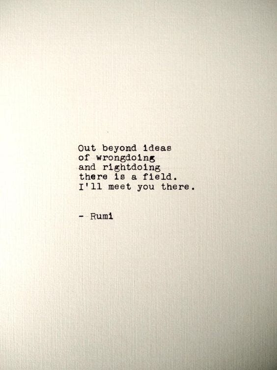 Rumi Poem I'll Meet You There