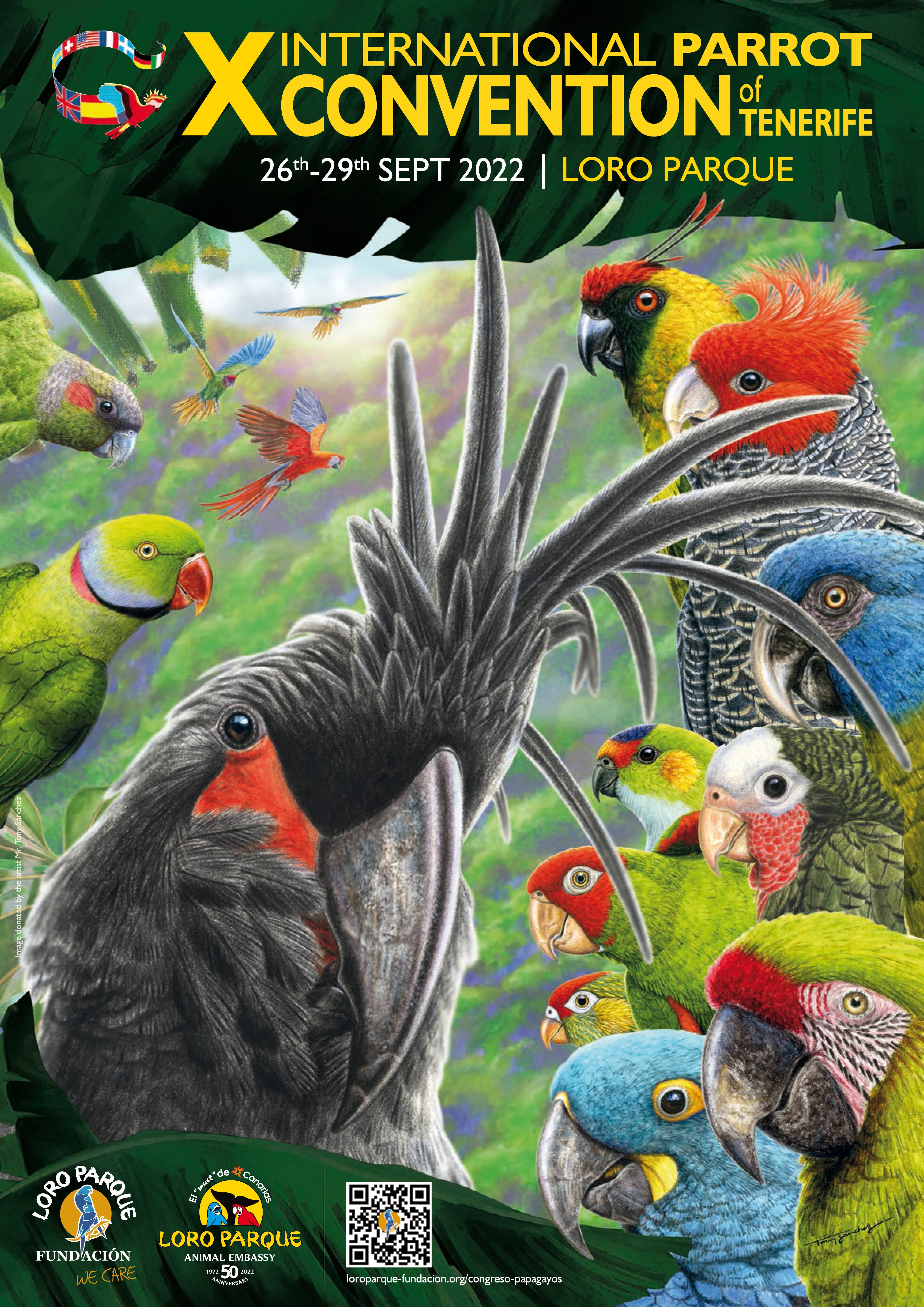 繁殖季與籌備第十屆國際鸚鵡大會- Blorian Yang - Medium