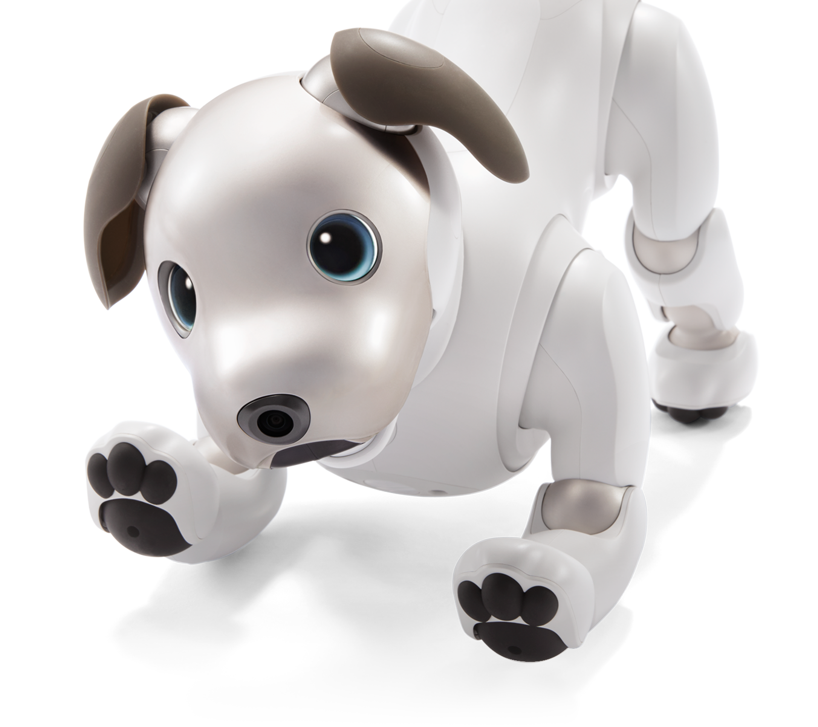 New Aibo delivers the tech of today | by Sohrab Osati | Sony