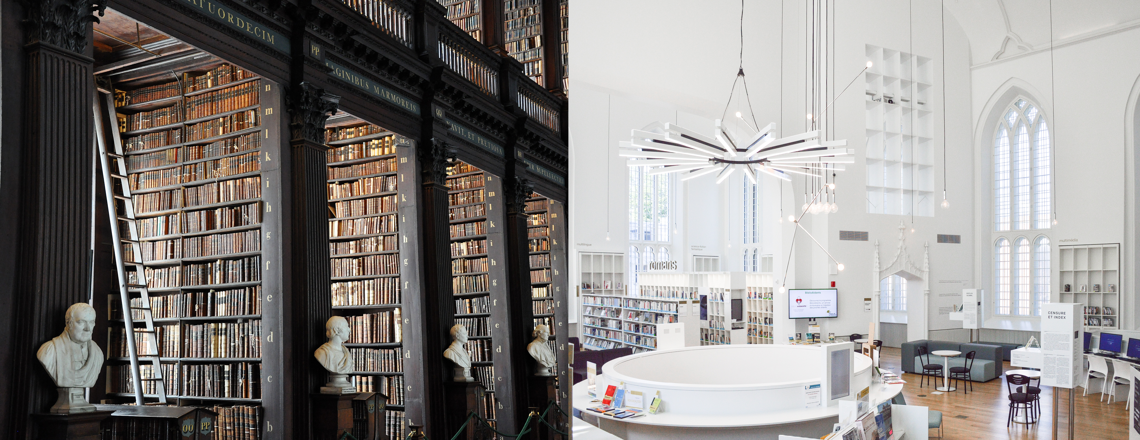Library of Alexandria　ARN　英語 Library of Alexandria ARN 英語 Library of Alexandria》[ARN