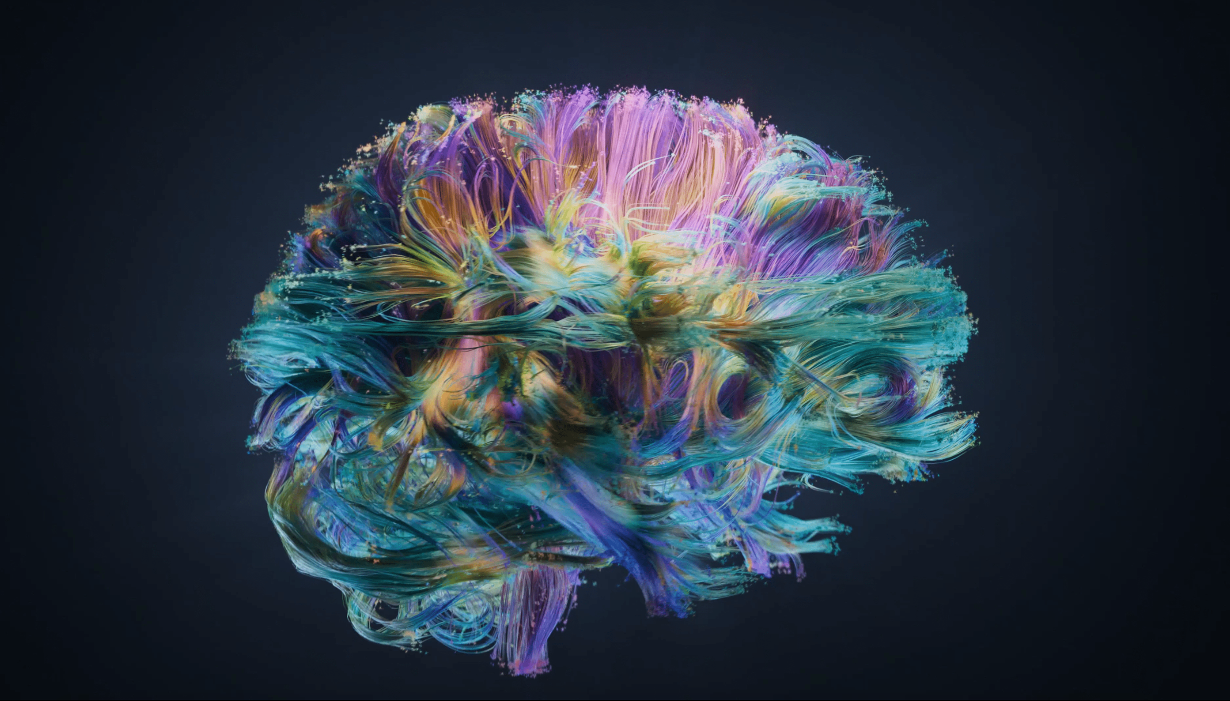 Neuroscience Primer. Thinking about the brain as an emergent… | by