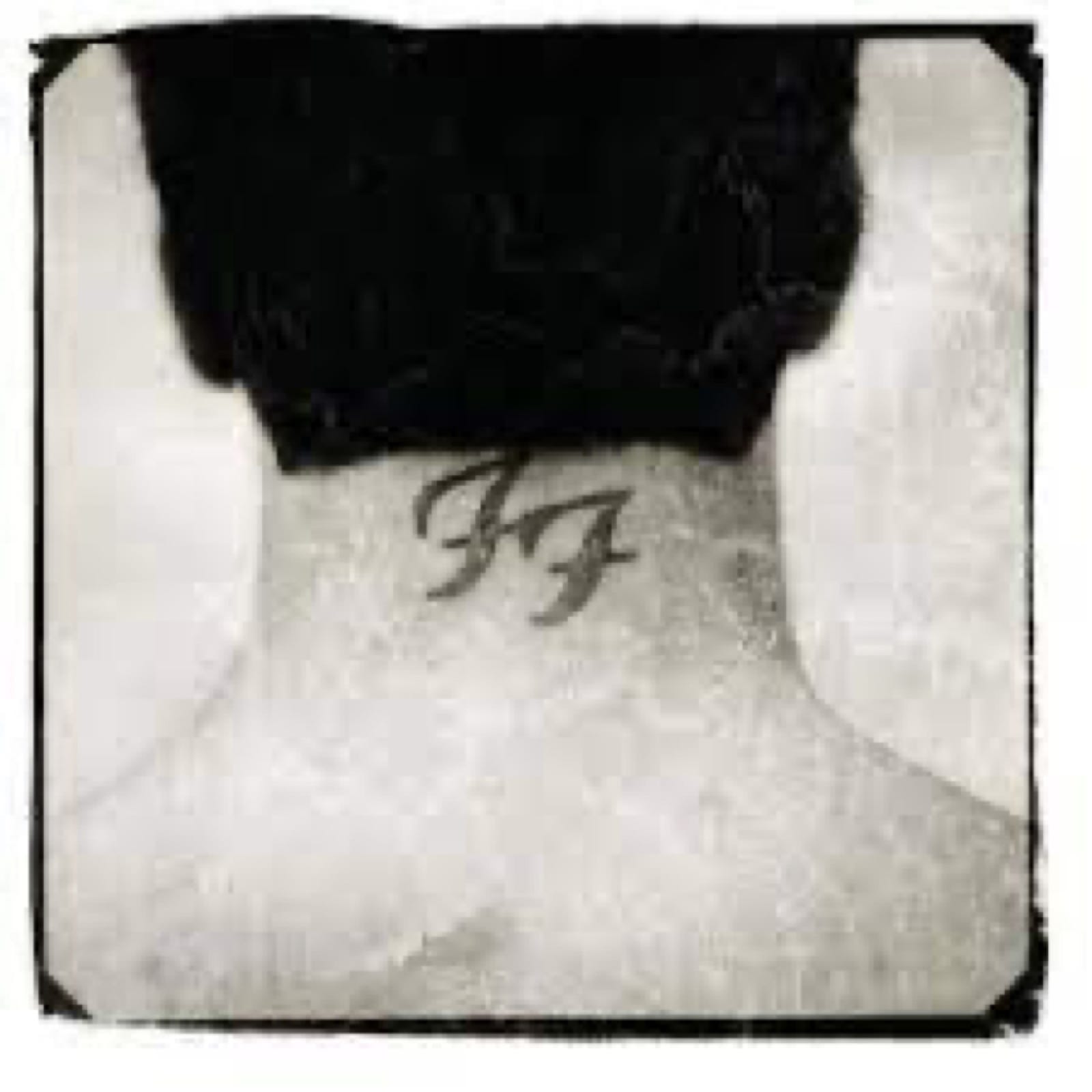 90s Album Thread: Foo Fighters “There's Nothing Left to Lose