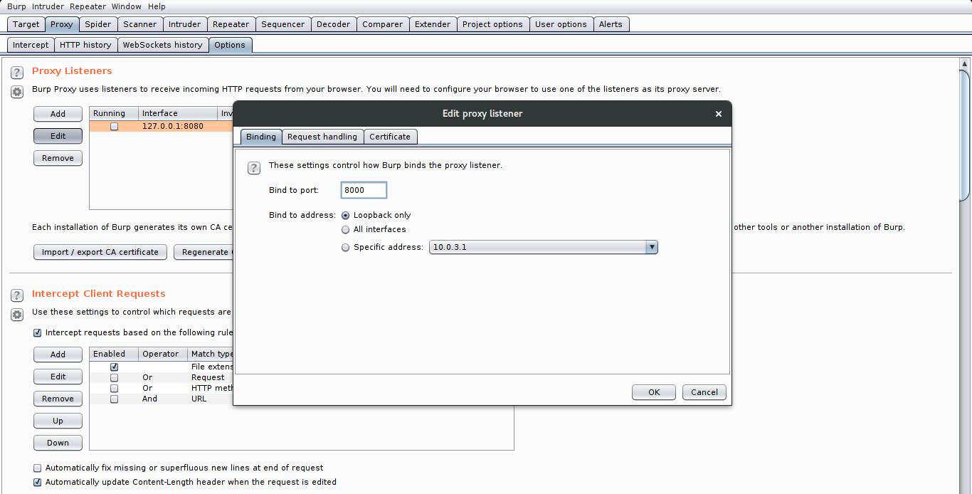 Setting up Burp Suite and OWASP WebGoat in Linux for learning Web  Application Security | by Adventures in Cyber Security | Medium