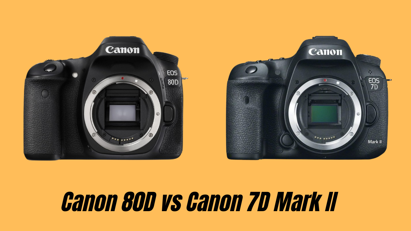 Canon 80D vs Canon 7D Mark II. Canon 80D vs. Canon 7D Mark II: A