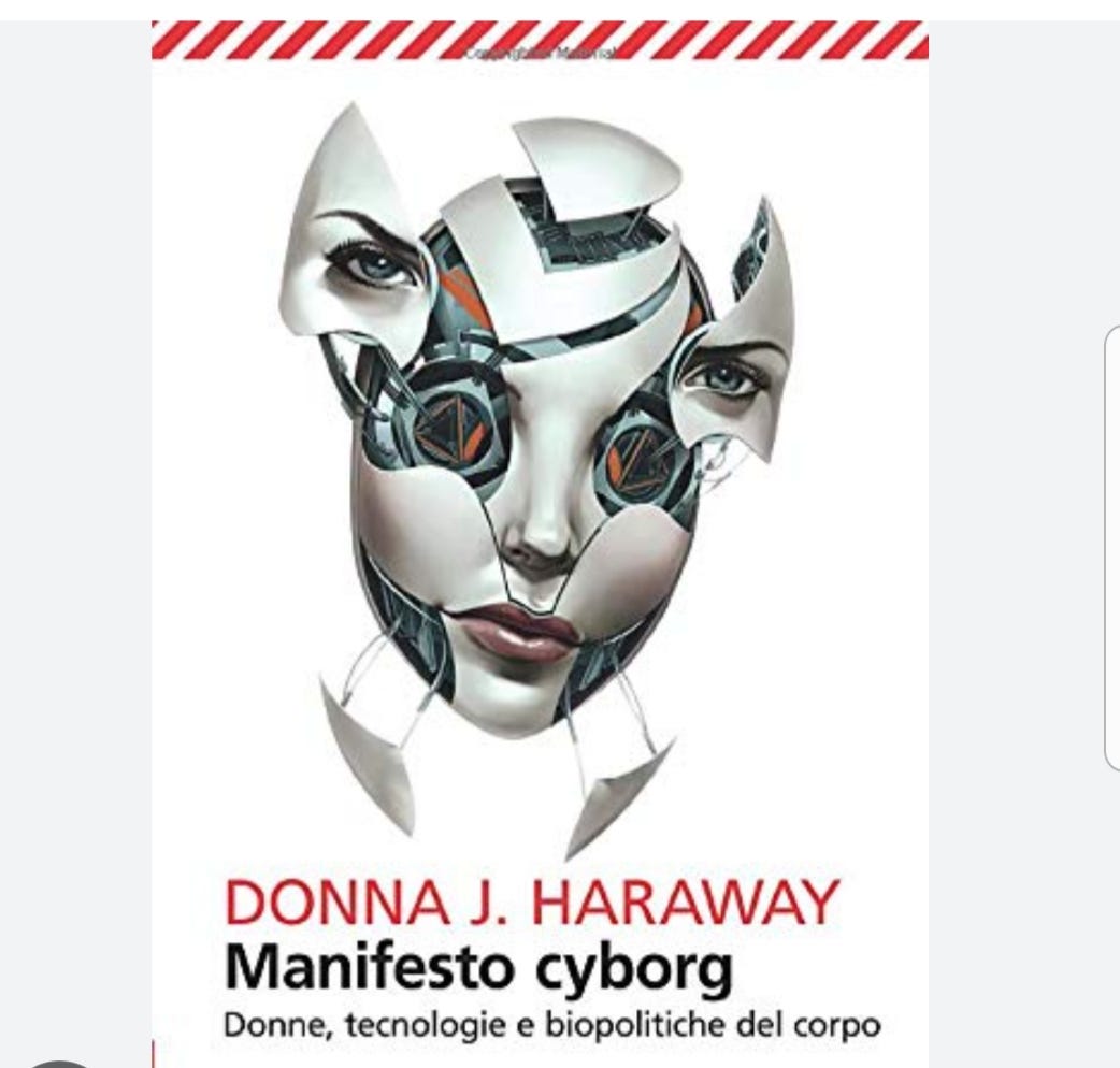 A Cyborg Manifesto: Redefining Identity and Technology Today