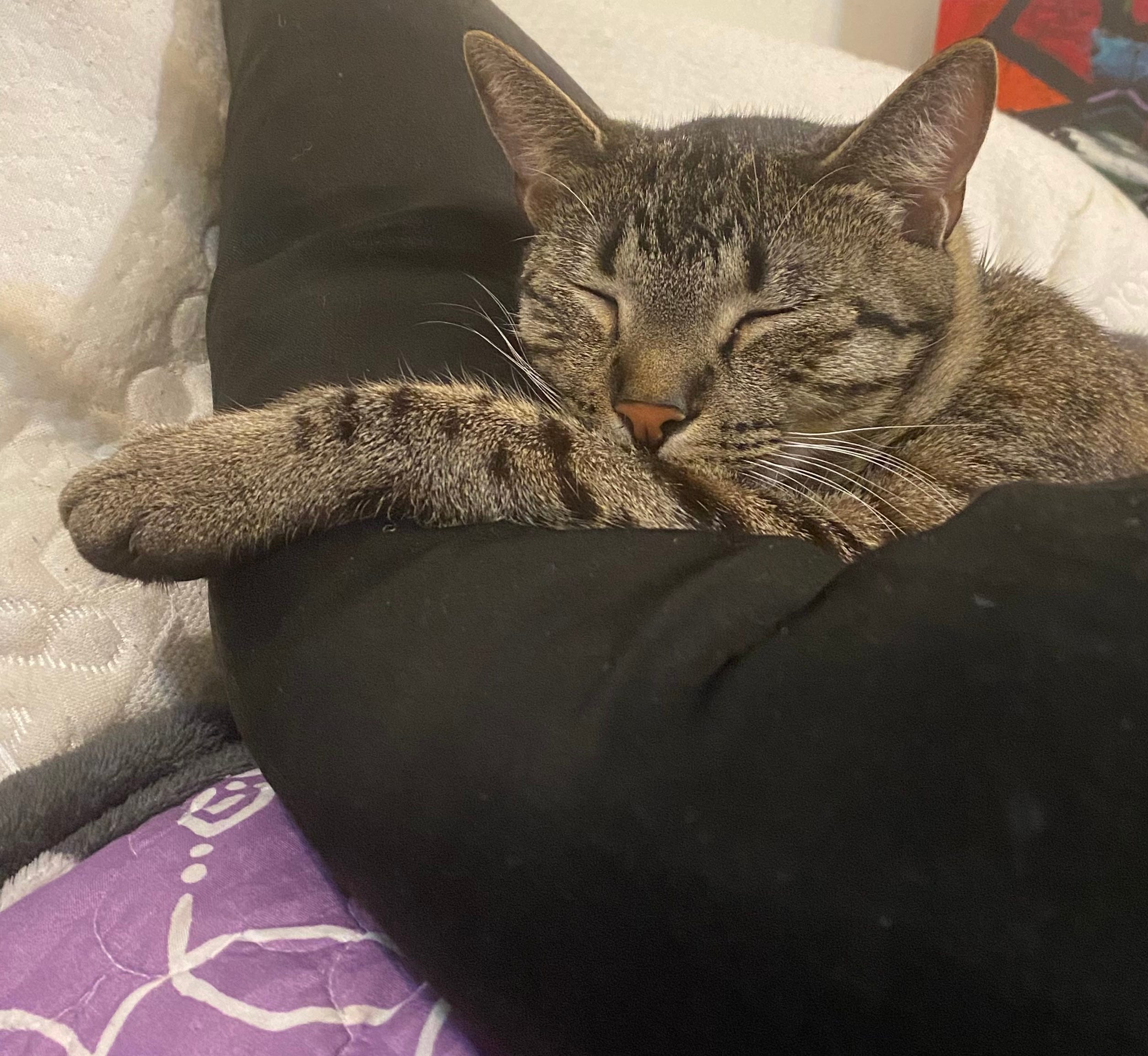 Seductive gaze a woman's forbidden thoughts ignite