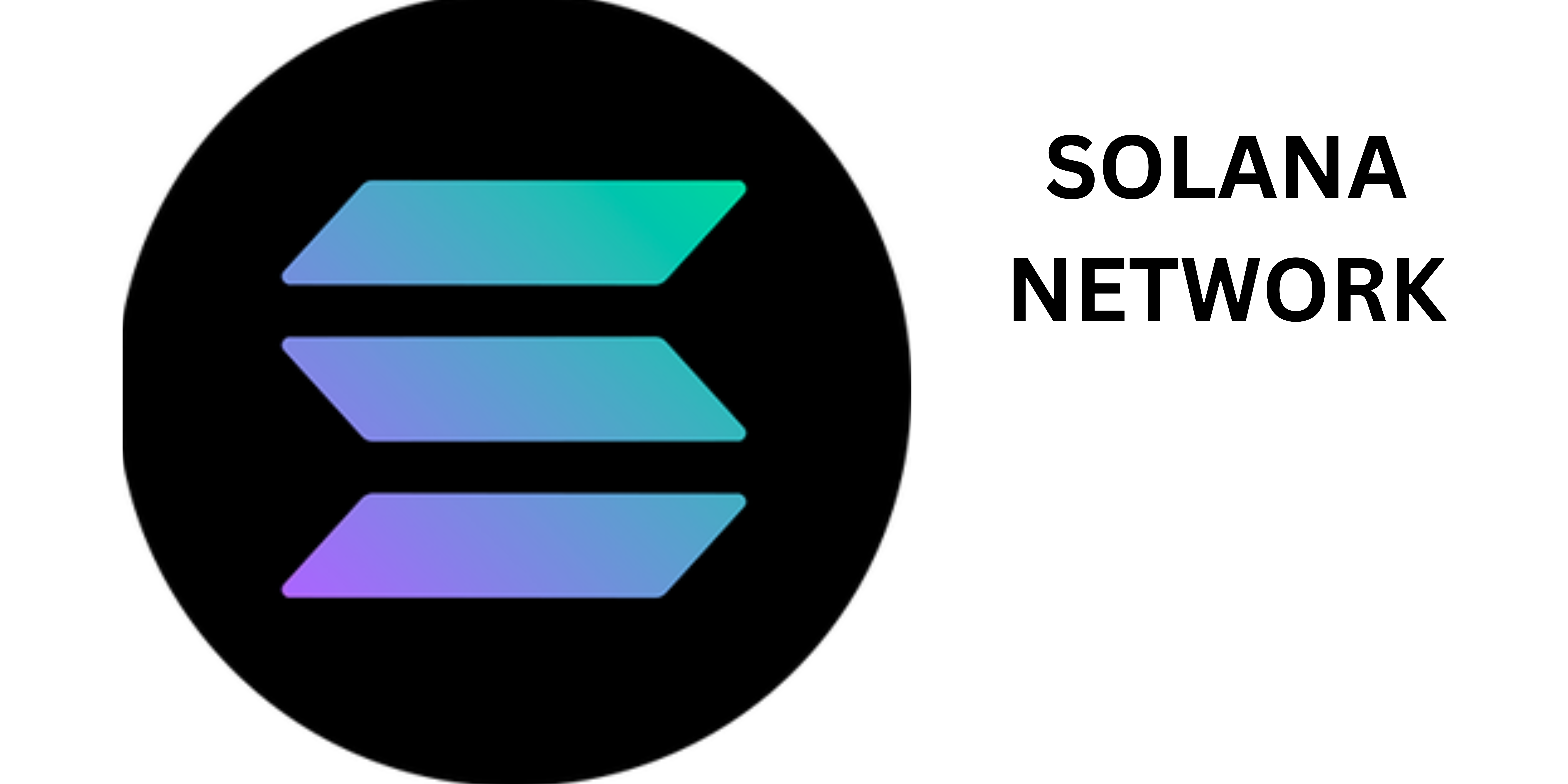 Solana bank immutable once frozen (76) 사진