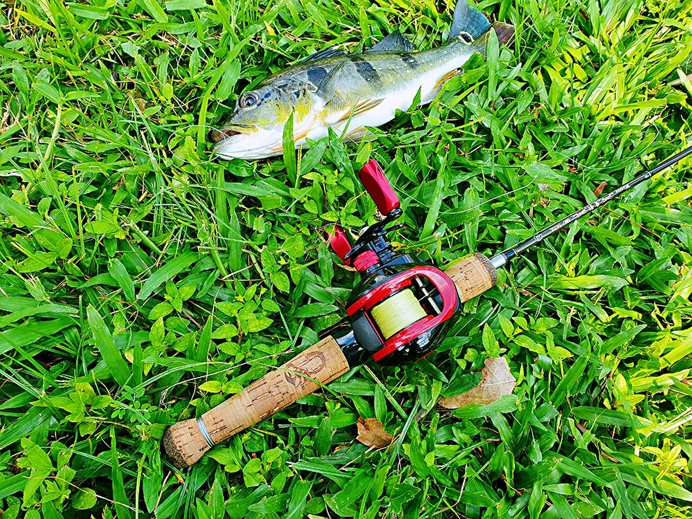 canal fishing rod and reel Rod, 6.9ft 2Pcs Telescopic Fishing Rods Set, Carbon Fiber Fishing Pole, 2PCS Spinning Combo with Carrier Bag Freshwater Fishing Rod and Reel Combos Kits Fishing Gear spooled line and is easily usable by left Bedok Reservoir and Rochor Canal