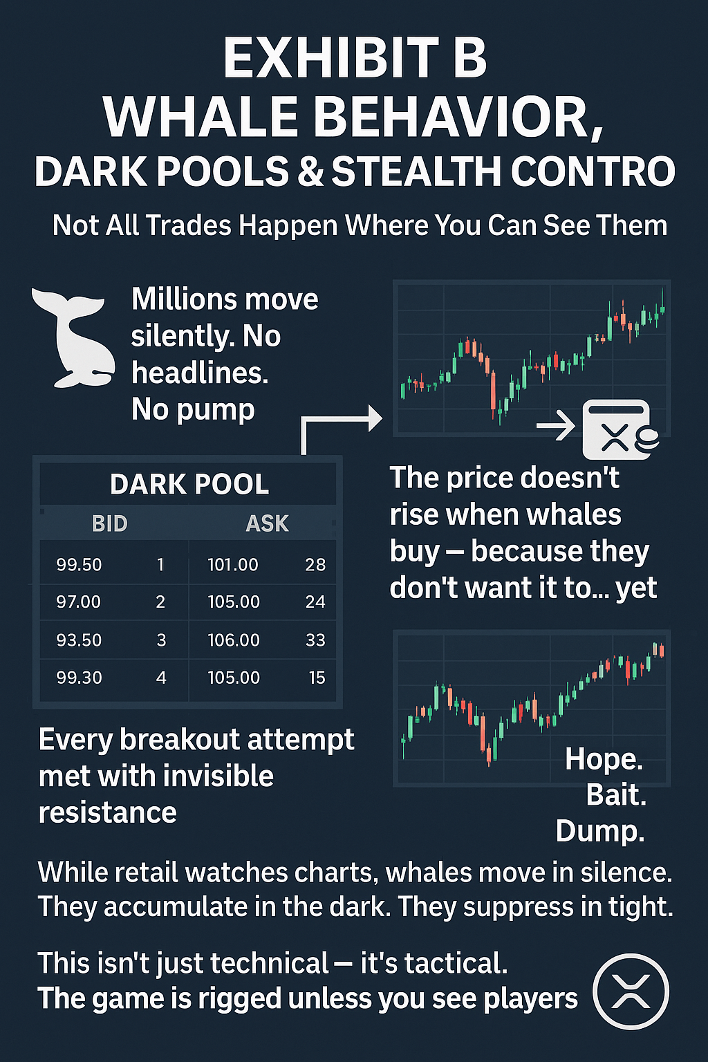 Behind the Curtain: How Whales Quietly Accumulate XRP While Retail Watches  Nothing Move | by Echo Mirrowen (Antoine Shephard) | Medium