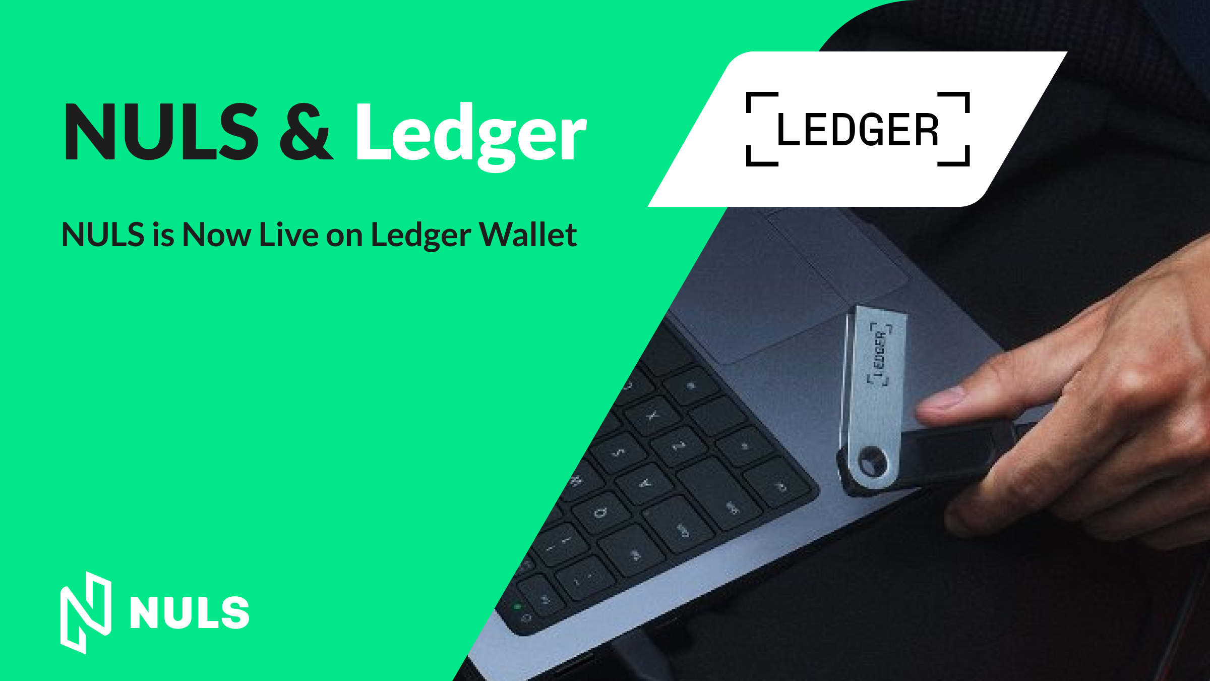 NULS is Now Live on Ledger Wallet | by NULS AI | Medium