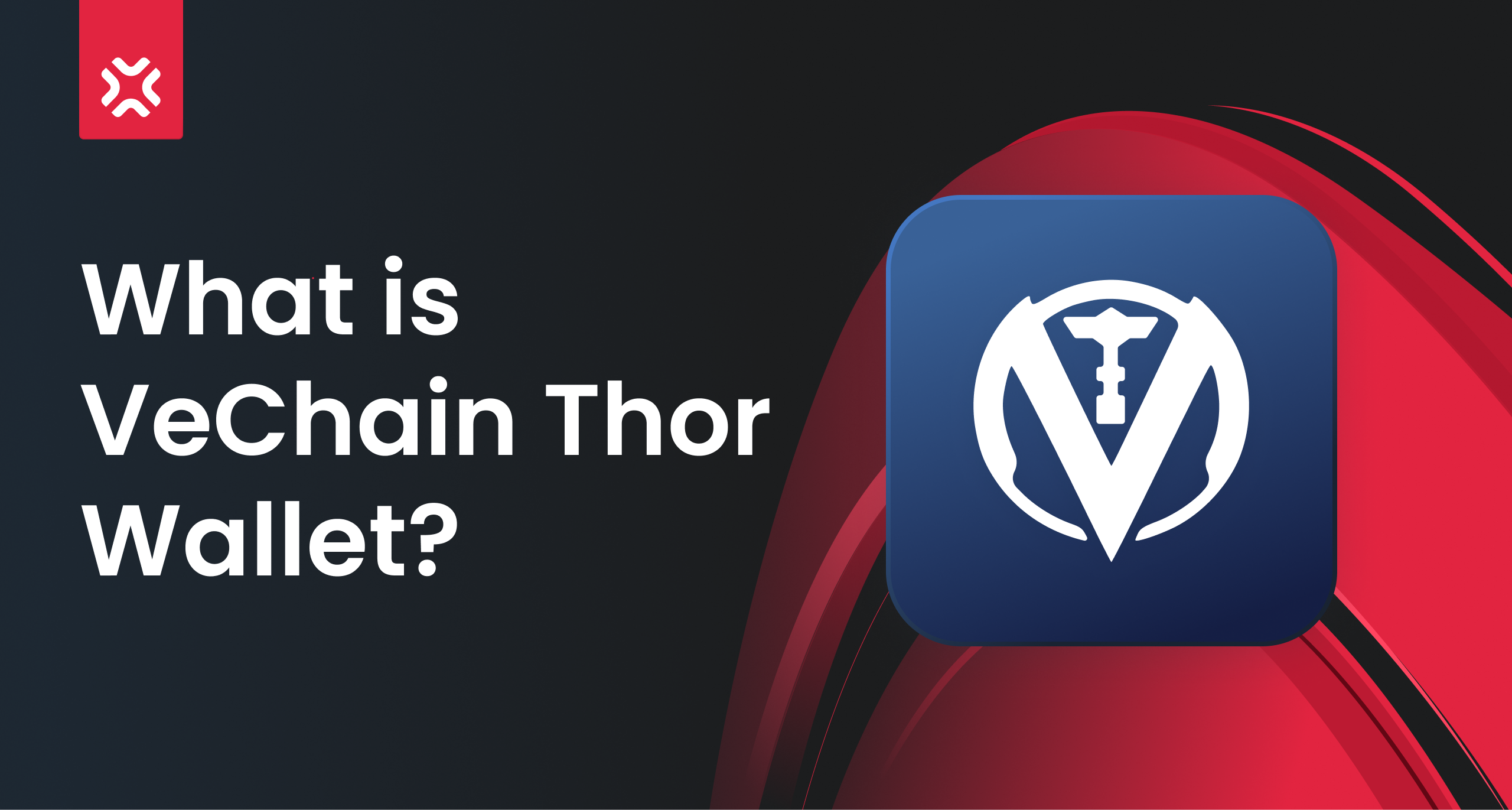 What is VeChain Thor Wallet?. VeChain Thor is one of the 15+… | by  XP.NETWORK | XP.NETWORK | Medium