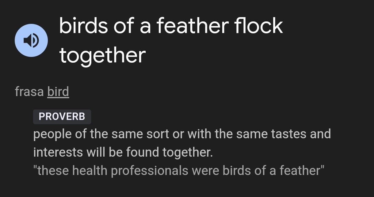 How Many Views Does Birds of a Feather Have: Surprising Stats Revealed