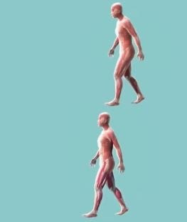 Can Walking Build Muscle: Surprising Benefits for Strength Growth