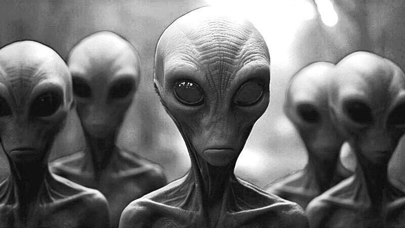 Grey Alien Morphology: Planetary Evolution or Bioengineered Utility? | by  Myk Eff | Quantum Psychology, Biology and Engineering | Medium