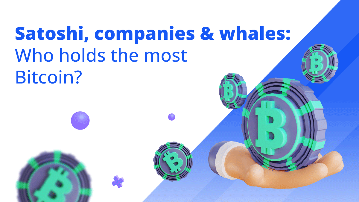 Satoshi, companies & whales: Who holds the most Bitcoin? (November 2024  update) | by EarnBIT | Coinmonks | Medium
