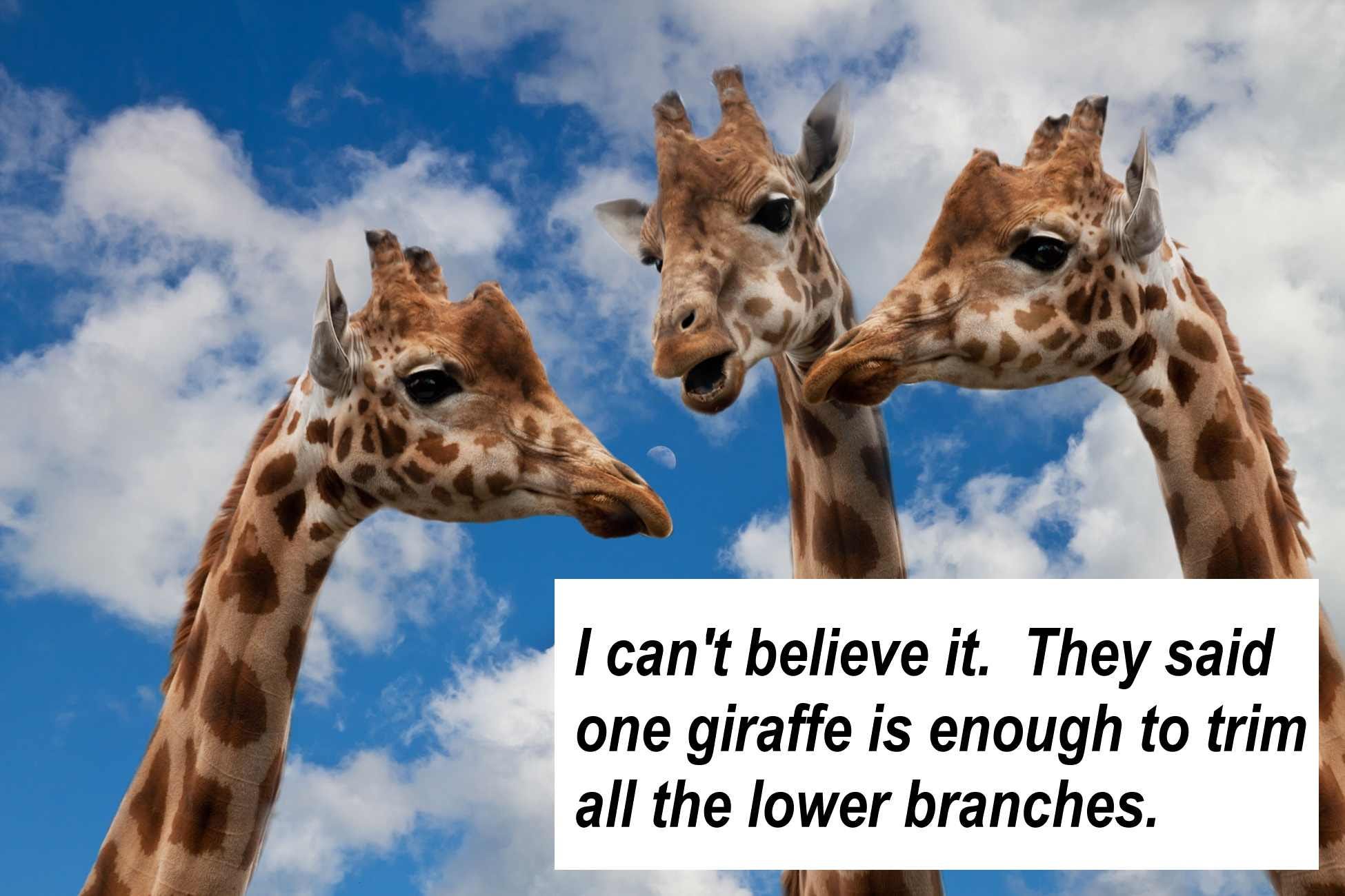 Facing Job Loss? Try These Inspiration Quotations for a Lift | by Anne  Emerick | Medium, image size:1950x1300